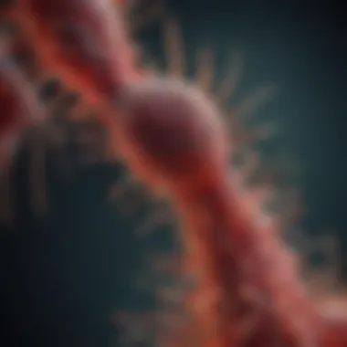 Understanding the Structure of HIV Microscopic view of HIV virus