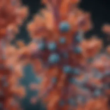 Visualization of Myod antibody structure highlighting key biochemical features