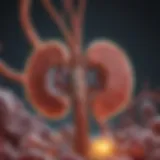Diagram illustrating various causes of kidney disease