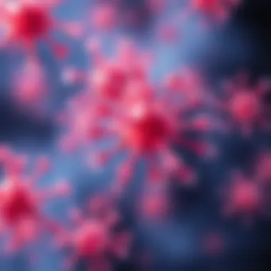 Applications of Annexin A1 antibodies in diagnostics