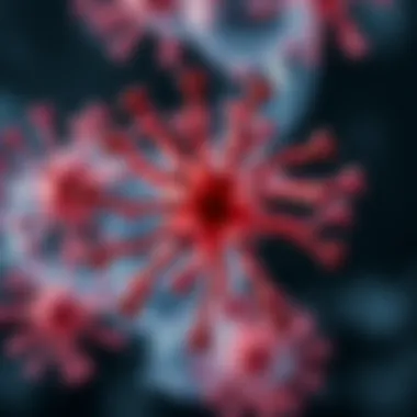 Mechanism of action for Annexin A1 antibodies