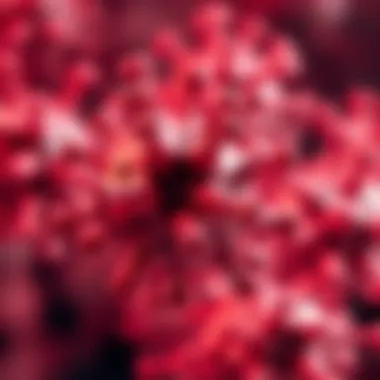 Recent research findings on Annexin A1