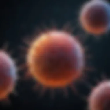 Exploring CD127 as a T Cell Marker: Functions and Implications Summary Exploring CD127 as a T Cell Marker: Functions and Implications Summary