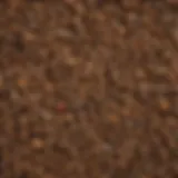 Diverse types of dry biomass showcasing their textures and forms