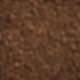 Diverse types of dry biomass showcasing their textures and forms