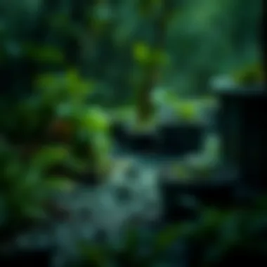 Circular Economy Concept