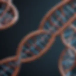 The intricate structure of DNA showcasing its double helix