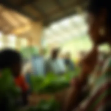 Community engagement in food systems