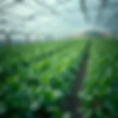 Technological innovations in agriculture