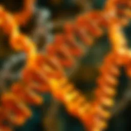 Exploring GPCR Signalling Pathways Introduction