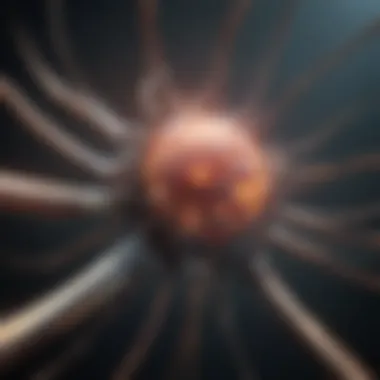 Understanding the CRISPR Mechanism CRISPR mechanism illustration