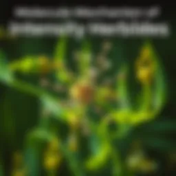 Illustration of herbicide mechanisms at the molecular level