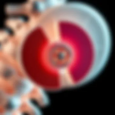 Anatomy of L4 and L5 Discs Detailed anatomy of L4 and L5 intervertebral discs