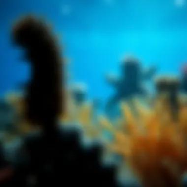 Notable Exploring Marine Biology Websites: A Comprehensive Guide