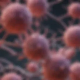 Molecular structure of cancer cells