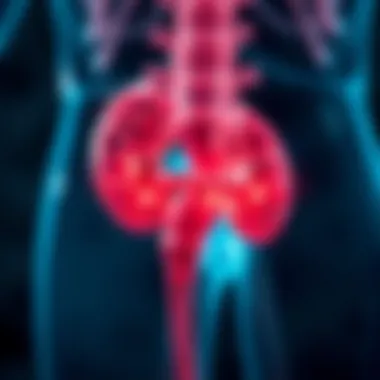 Diagnostic methodologies for non-aggressive bladder cancer