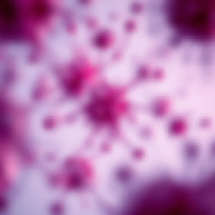 Detailed Microscopic Observation of Ramos Cells Microscopic view of Ramos cells