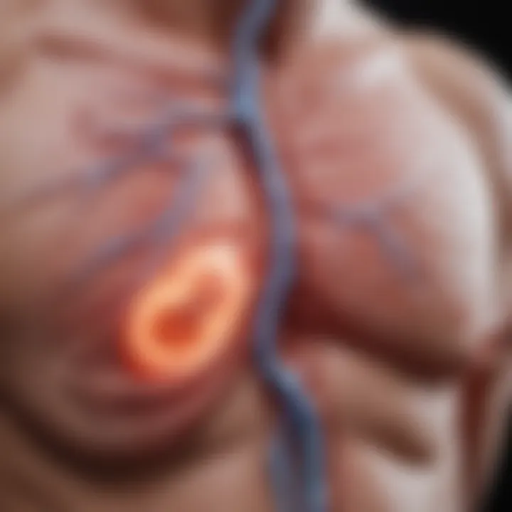 Research findings on lidocaine and pulmonary vascular complications