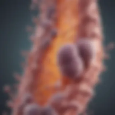 Probiotic Bacteria and Urinary Health Illustration of probiotic bacteria supporting urinary health