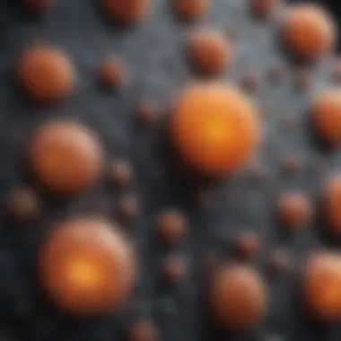 Cellular Characteristics of Small Cell Melanoma Illustration depicting the cellular structure of small cell melanoma