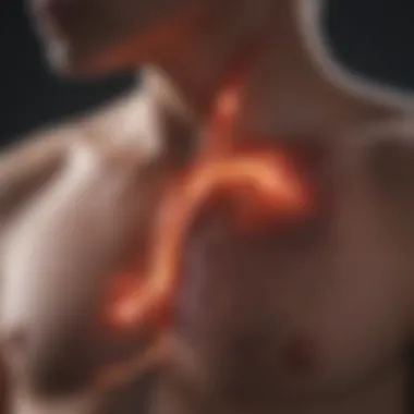 Innovative Diagnostic Approaches in Lung Cancer Visual representation of diagnostic techniques for lung cancer