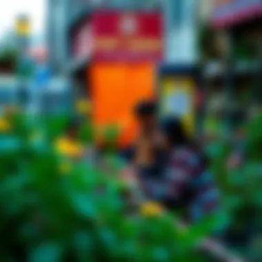 Community engagement in urban gardening