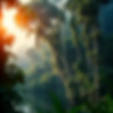 Environmental threats impacting the Amazon rainforest