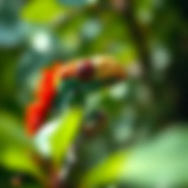 Vibrant wildlife unique to the Amazon ecosystem