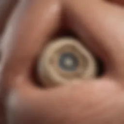 Diagram showcasing different types of hernias