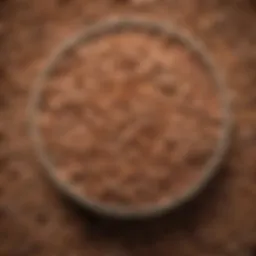 Close-up of a bowl filled with various grain-free dog food ingredients.