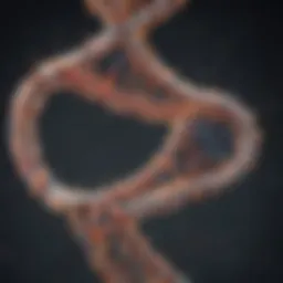 Diagram illustrating the structure of mRNA