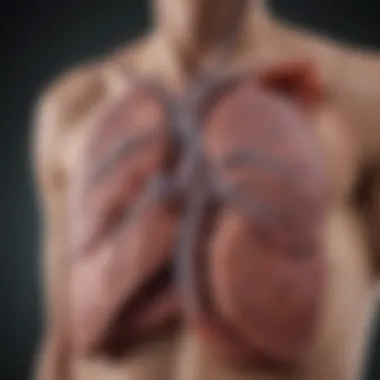 Diagram illustrating alternative treatments for chronic kidney disease