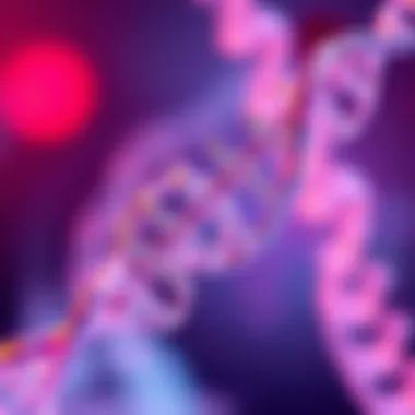 Cell-Free DNA Extraction Techniques Visualization of cell-free DNA extraction techniques