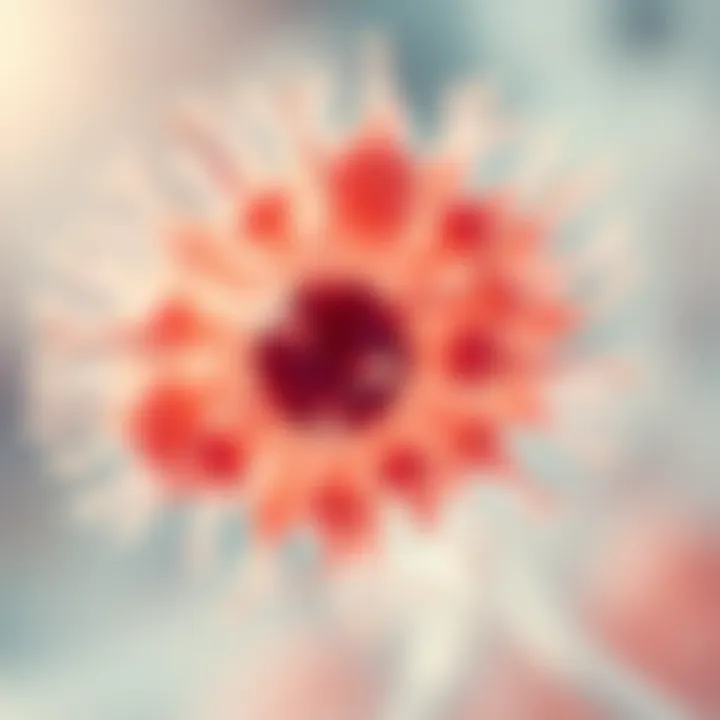 Illustration of Candida species under a microscope