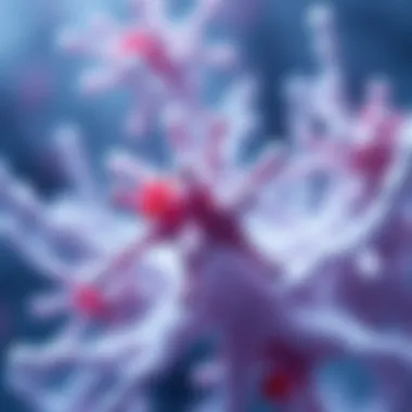 Biological Applications of Latices Visualization of biological applications of latices