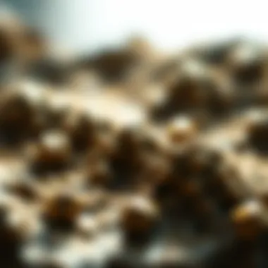 Formation and Stability Mechanisms in Latices Mechanisms of formation and stability in latices