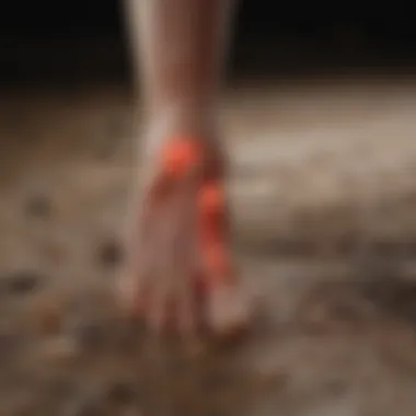 Impact of Diabetic Neuropathy on Nerve Pathways Nerve pathways affected by diabetic neuropathy