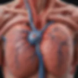 Diagram illustrating the physiological mechanisms behind hypotension in heart failure