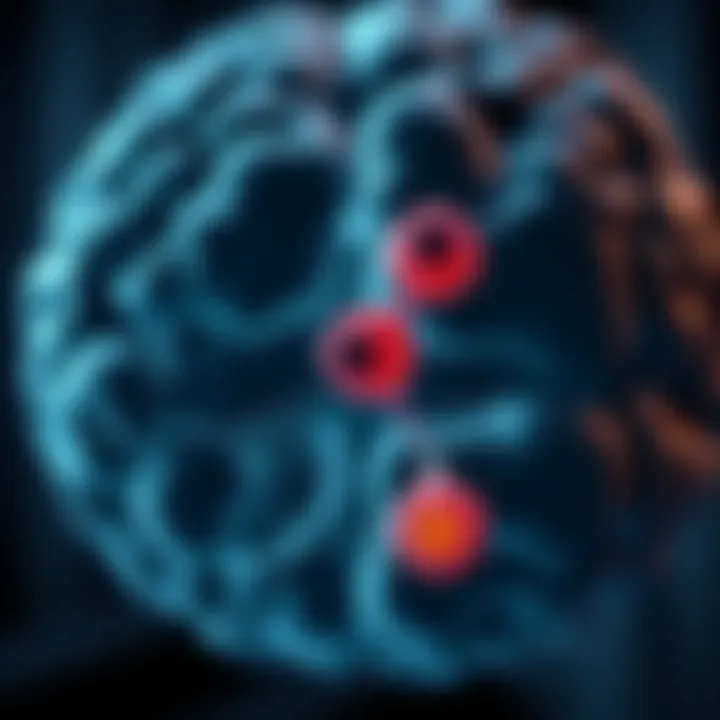 Diagram depicting the relationship between von Hippel-Lindau disease and associated tumors