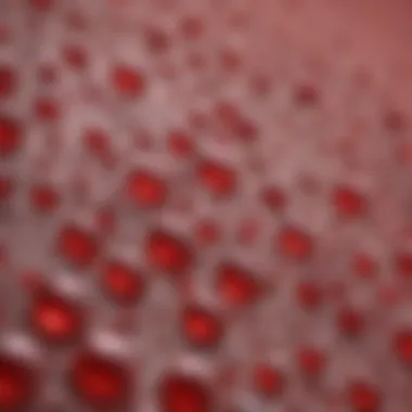 Impact of ferritin levels on anemia