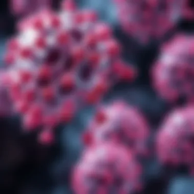 Illustration of FGF inhibitors in cancer therapy