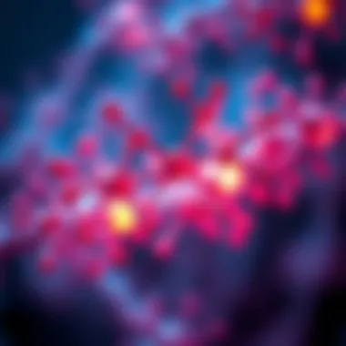 Visual summary of recent advancements in FGF research