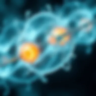 Graphical representation of FGF signaling pathways