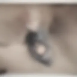 Detailed diagram of frontal lobe glioma types