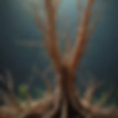 Fusarium Wilt Pathogen Impact on Roots Illustration depicting the Fusarium wilt pathogen affecting plant roots