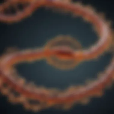Exploring Future Directions of Nanostring RNA Future directions for Nanostring RNA in research