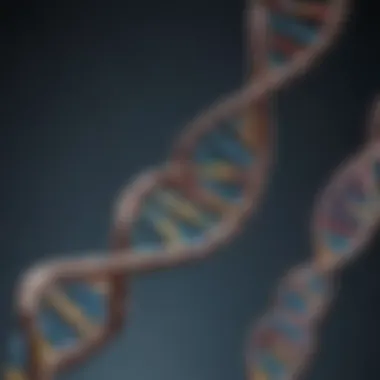 DNA double helix representation illustrating genetic analysis