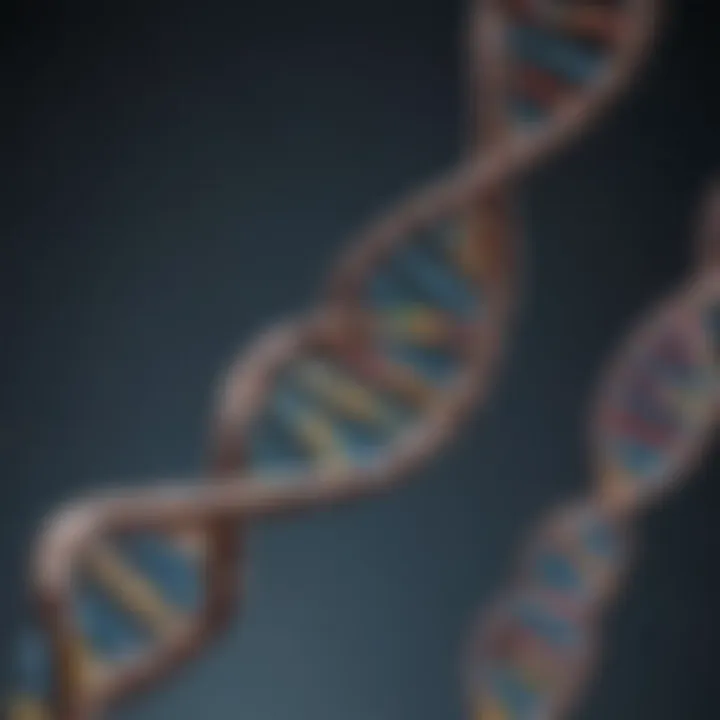 DNA double helix representation illustrating genetic analysis