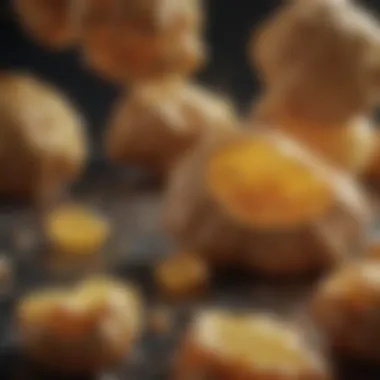 The Impact of Ginger on Lymphoma Cells Ginger's impact on lymphoma cells