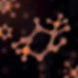 Molecular structure of Glycerol Phosphocholine highlighting its components